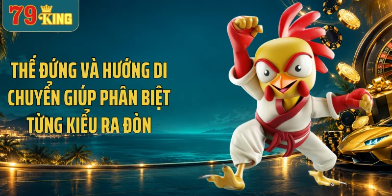Thế đứng và hướng di chuyển giúp phân biệt từng kiểu ra đòn